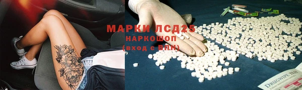 эйфоретик Алзамай
