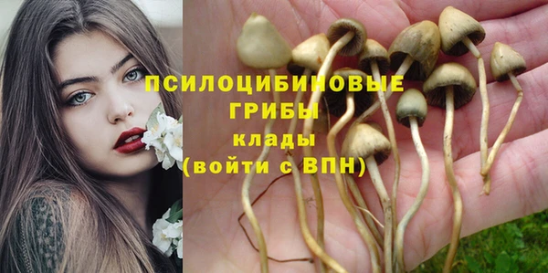 эйфоретик Алзамай