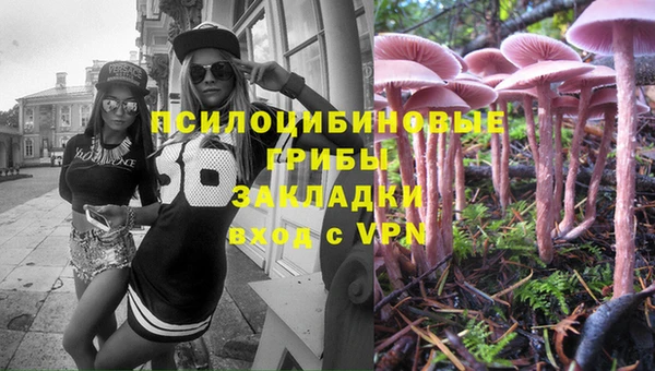 ПСИЛОЦИБИНОВЫЕ ГРИБЫ Алексеевка