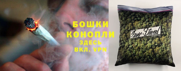 ПСИЛОЦИБИНОВЫЕ ГРИБЫ Алексеевка