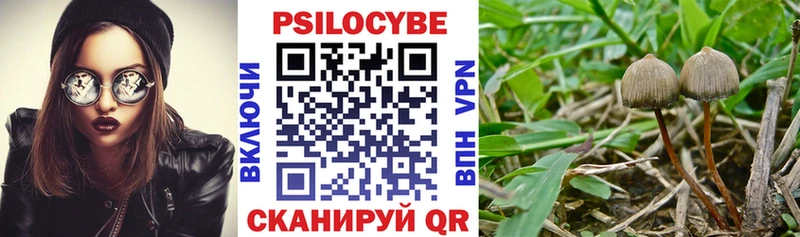 Галлюциногенные грибы прущие грибы  Болхов 